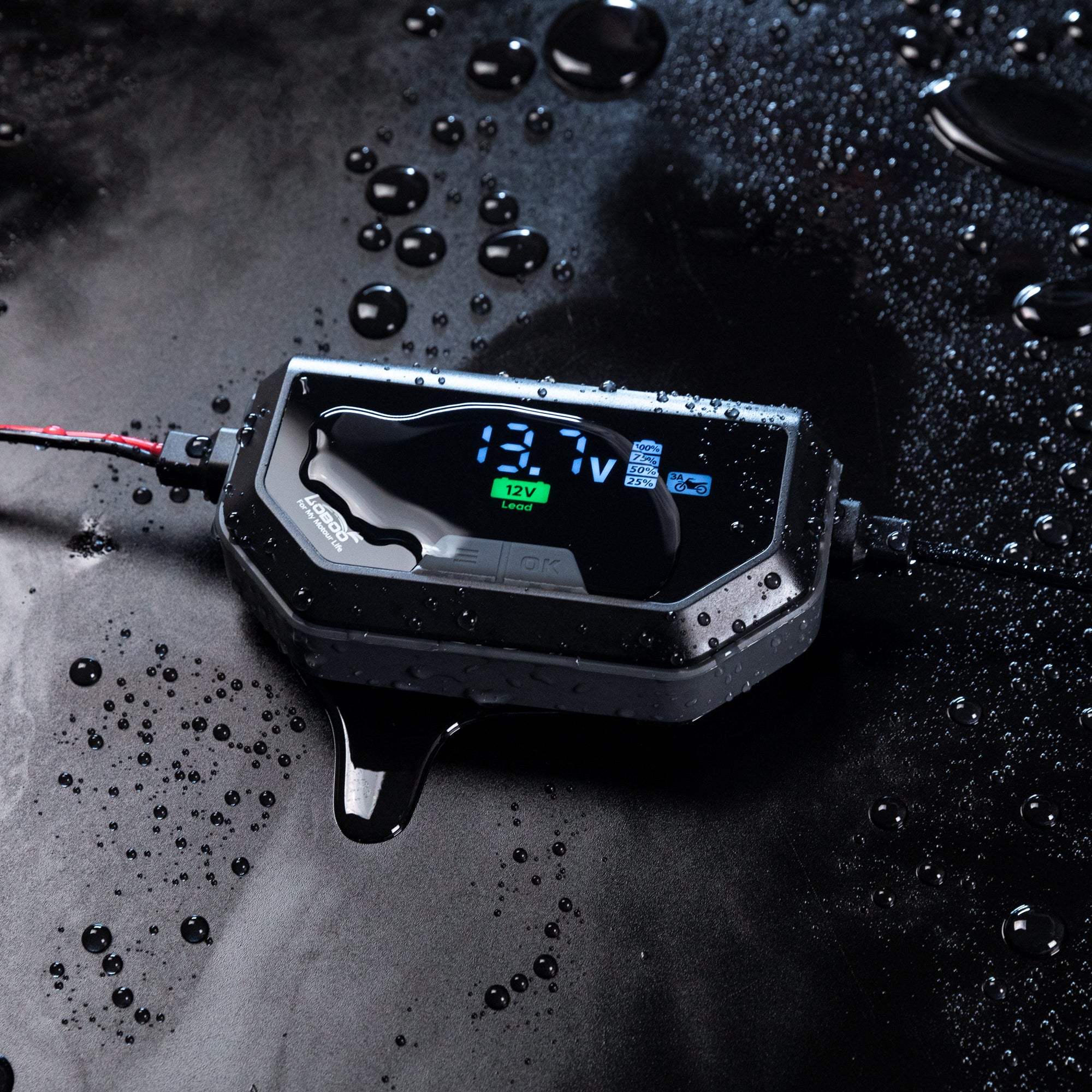 Caricabatterie C60 bagnato dall'acqua, con il grado di protezione IP65 dichiarato dal produttore