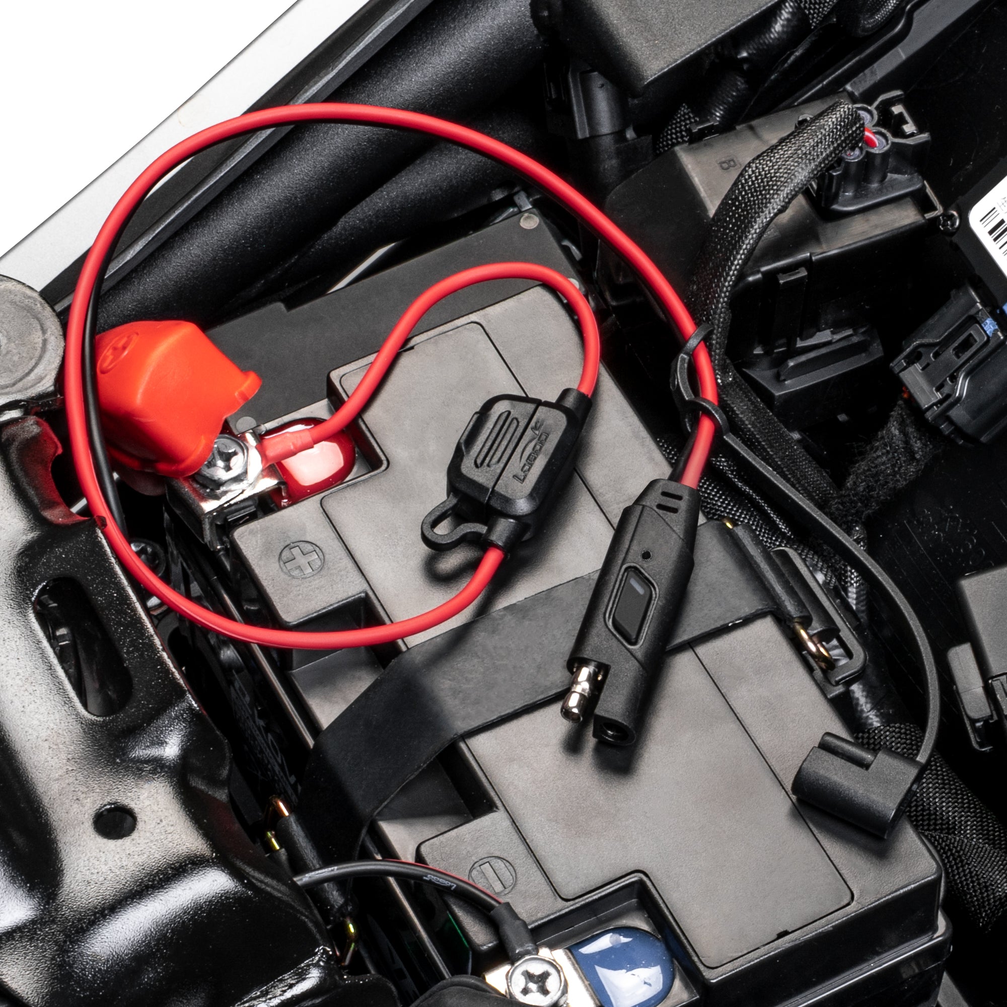 Terminali ad anello del cavo SAE fissati ai poli della batteria, sotto il copripolo