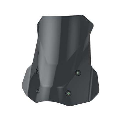 Windschutzscheibe Loboo für BMW R 1300 GS und Adventure - Endurrad.com