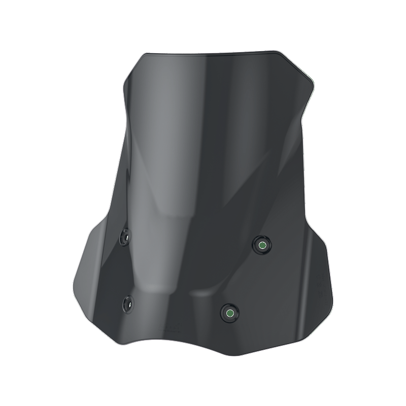 Windschutzscheibe Loboo für BMW R 1300 GS und Adventure - Endurrad.com