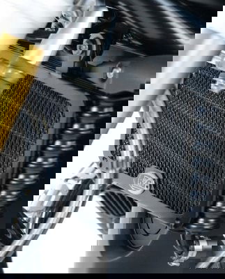 Retina protezione radiatore olio, BMW R Nine T